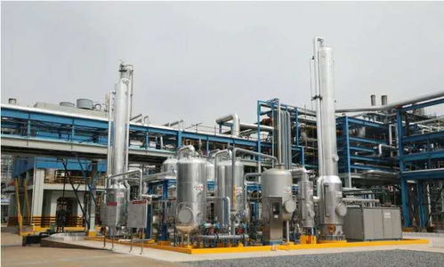 揚(yáng)子石化 國(guó)產(chǎn)替代助力企業(yè)解決進(jìn)口難題 互聯(lián)網(wǎng)銷售模式加速產(chǎn)業(yè)升級(jí)